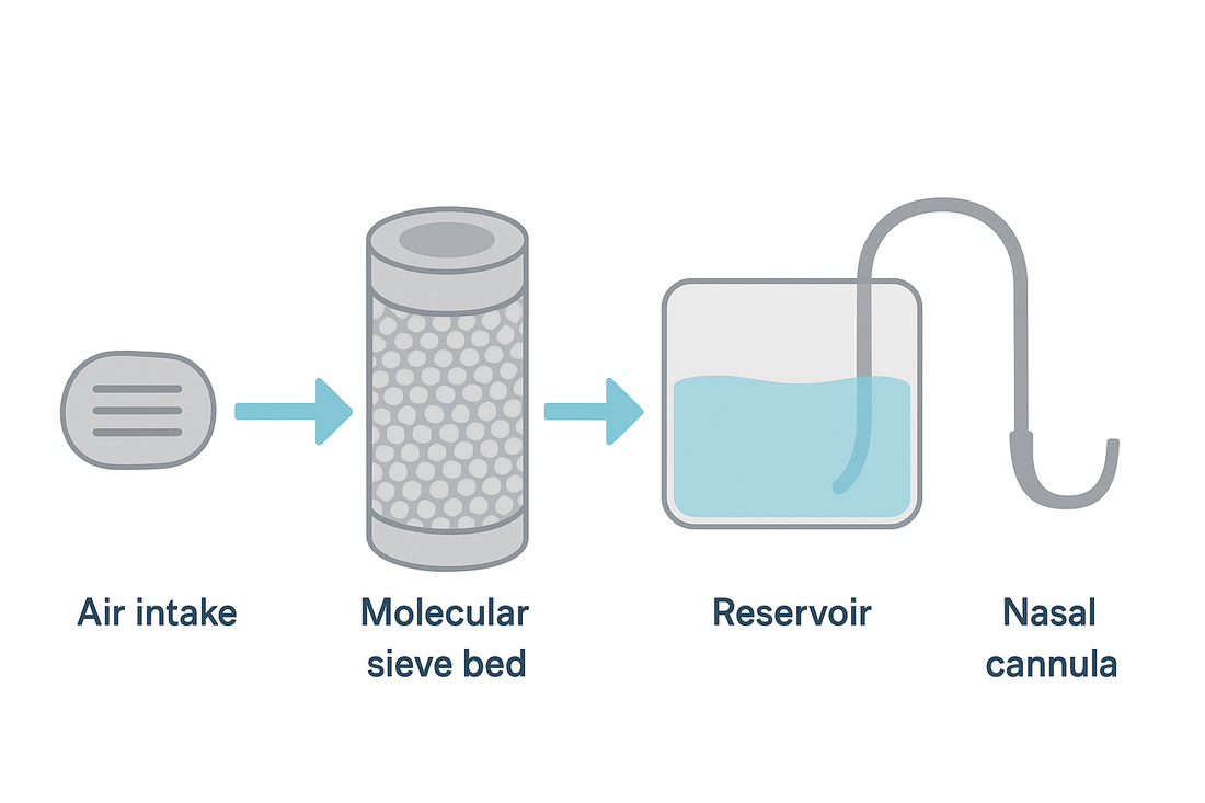 What Is a Portable Oxygen Concentrator? Benefits, Features, and Travel Use